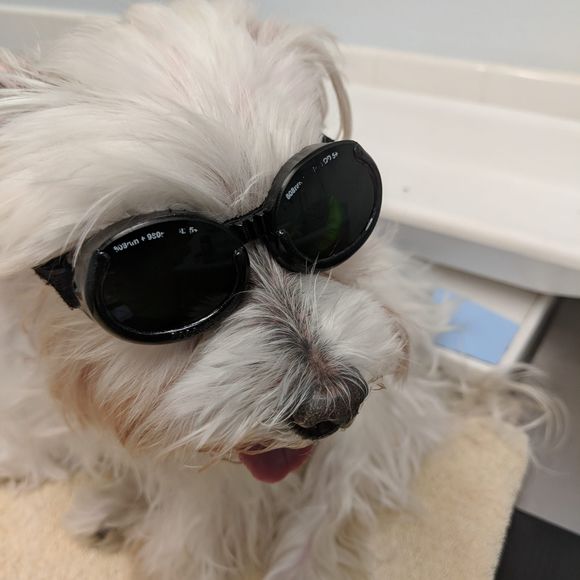 Meet your Posher, Beverly - Picture 1 of 1